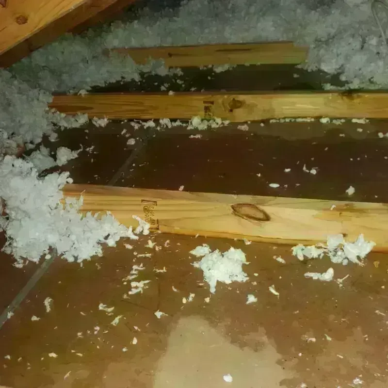 Attic Water Damage in San Marcos, CA