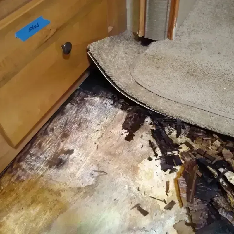 Wood Floor Water Damage in San Marcos, CA